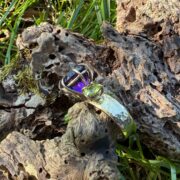 suffragette-ring-amethyst-peridot-9ct gold-back-sandrakernsjewellery